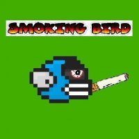 Sky Bird Casual Adventure