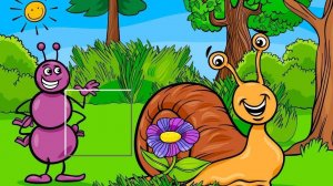 Insect Pic Puzzles Sliding Puzzle