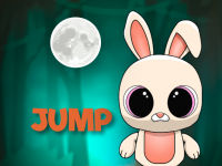 Bunny Leap Adventure