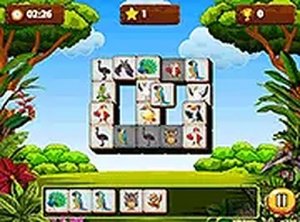 Feathered Tiles Puzzle Challenge