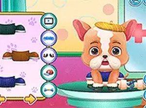 Puppy Care Animal Game